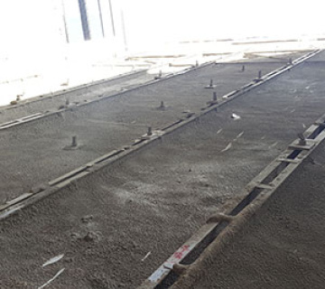 دیوار برلنی